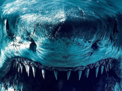 Megalodon Gulf (Book Review)