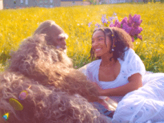 Bigfoot, I Love You (2026) Review